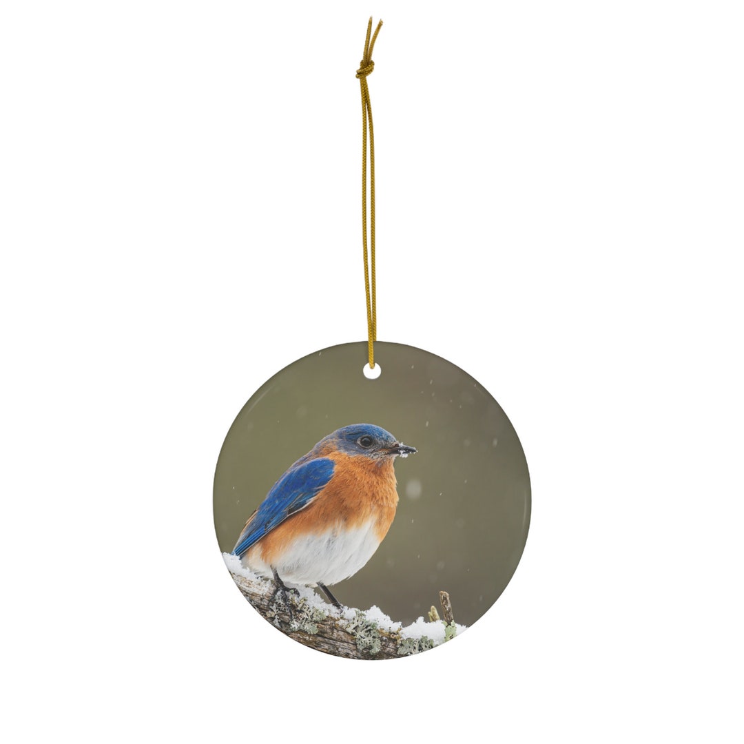 Bluebird Gifts, Bluebird Ornament, Bird Lover, Bird Enthusiast, Gift for Bird Watcher, Gift for