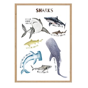 Sharks Educational poster for children | Printables| Educational | Digital Poster | Homeschool | Teacher | Shark | Preschool | Animal