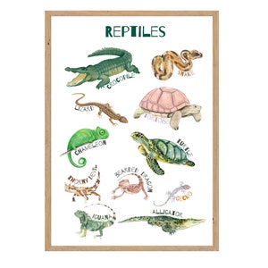 Reptiles Educational poster for children | Printables| Educational | Digital Poster | Homeschool | Teacher | Animals | Preschool | Reptile