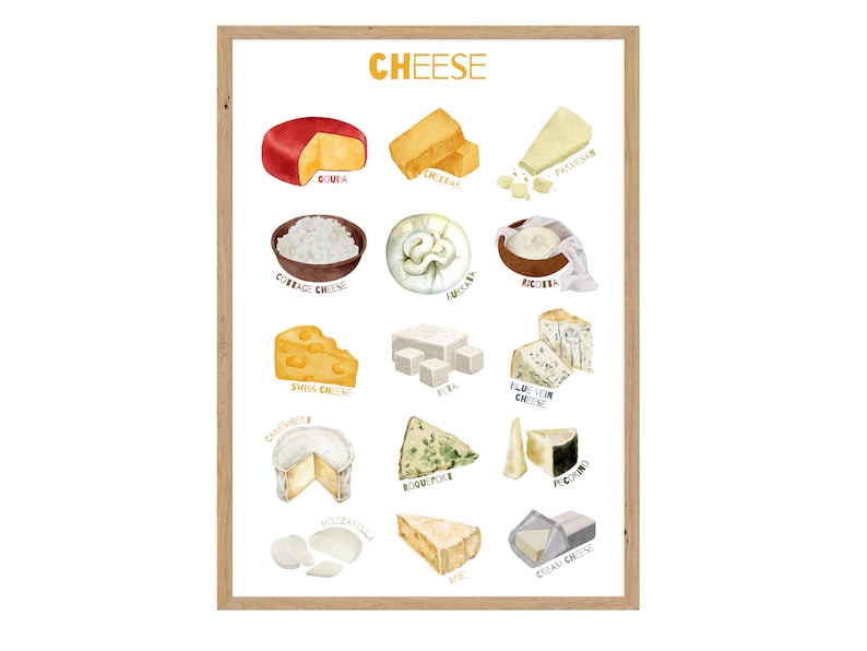 Cheese Educational Poster for Children Printables - Etsy