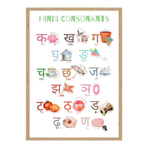 Hindi Language Alphabet Children Educational Posters Nursery Decor Leaning Hindi Teaching Hindi Homeschool preschool bilingual