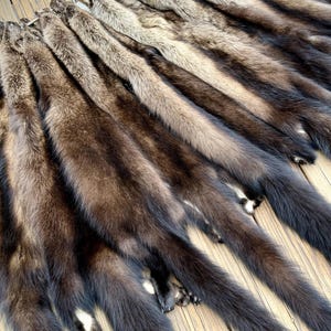 May include: A collection of tanned animal pelts, primarily in shades of brown and black, are displayed. The pelts are arranged in parallel rows, with the tails extending downwards. The fur appears soft and dense, with variations in color and texture.