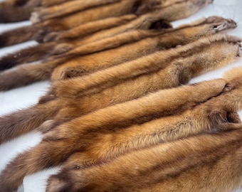 L/XL Maine Pine Marten (Sable) Pelts, Prime, Northern Maine, Professionally Soft Tanned