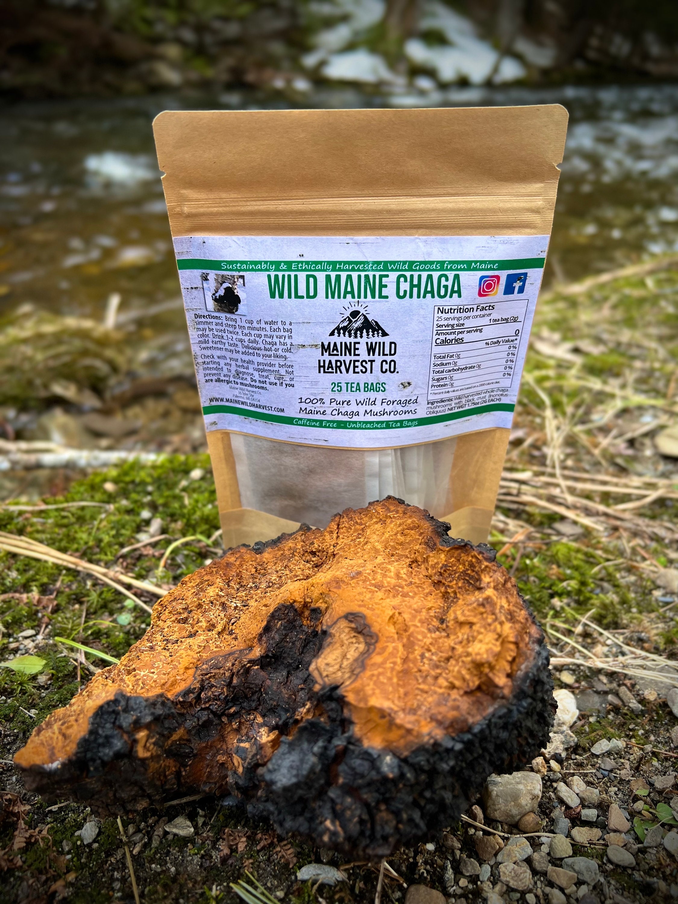 Mushrooms Products - Etsy