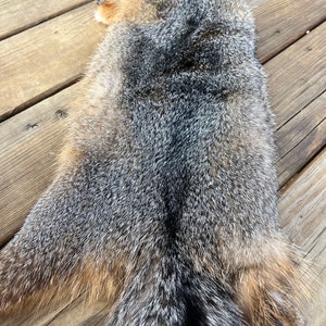 Maine Gray Fox Pelt, Prime, Northern, Professionally Soft Tanned