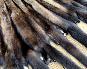 Maine Fisher Pelt (Female) - Prime, Professional Soft Tanned/Garment Tan