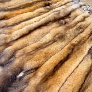 May include: A collection of tanned fur pelts, featuring a rich blend of brown and tan hues. The pelts are arranged in parallel rows, showcasing the natural texture and color variations of the fur. The image highlights the luxurious appearance of the material.