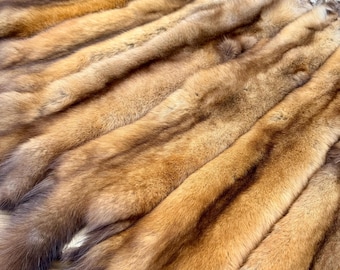 Maine Pine Marten/Sable (Light Color Phase) Pelts - Prime, Northern Maine, Professionally Garment Tanned