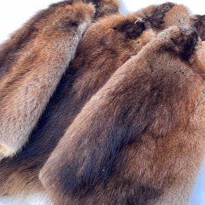 Maine Muskrat Pelt - Prime, Professionally Garment Soft Tanned