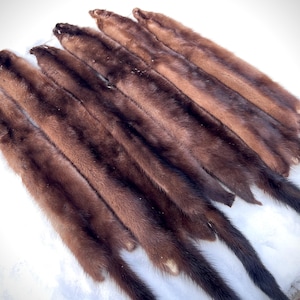 Maine Wild Mink Pelt - Prime, Professionally Garment Soft Tanned