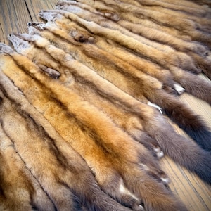 May include: A collection of tanned mink pelts, showcasing a range of brown and tan hues. The pelts are laid out on a wooden surface, with the fur side up, displaying the natural color variations and textures of the fur.