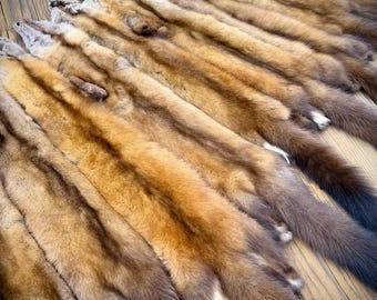 Maine Pine Marten/Sable Pelts -  Prime, Northern Maine, Professionally Soft Tanned