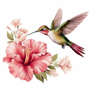 Hummingbird & Flowers Clipart: Full Color SVG, PNG (Digital Download)