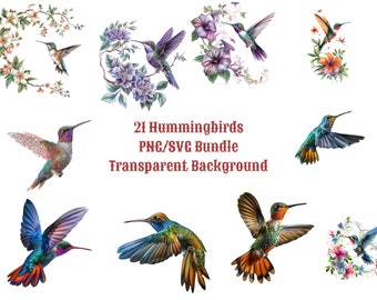 21+ Hummingbird & Flowers Svg Color /  Hummingbird ClipArt SVG / Transparent Background / Hummingbird Color SVG /Full color Vector Printable