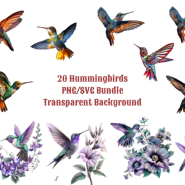 20+ Hummingbirds  Bundle Svg Color / Hummingbird Clip Art SVG / Transparent Background / Floral Design  / Comercial Use Allowed / Printable