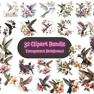 Hummingbird Floral Clipart Bundle, 32 PNGs Transparent Background