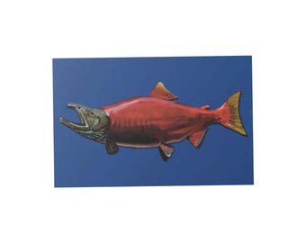 Shockeye Salmon (Red Salmon) Print