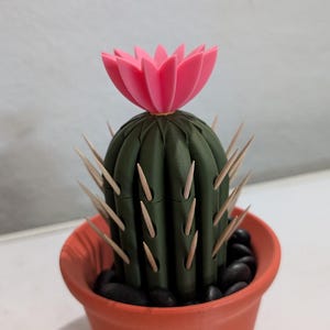 May include: A decorative cactus in an orange pot. The dark green cactus has light brown spikes and a bright pink flower on top. The pot contains black pebbles.