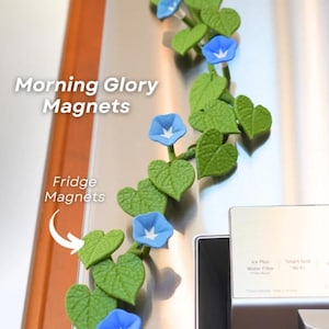 Magnetivy - Morning Glory Magnets - Ivy Fridge Magnet - Flower Magnets : Licensed Forgecore Design