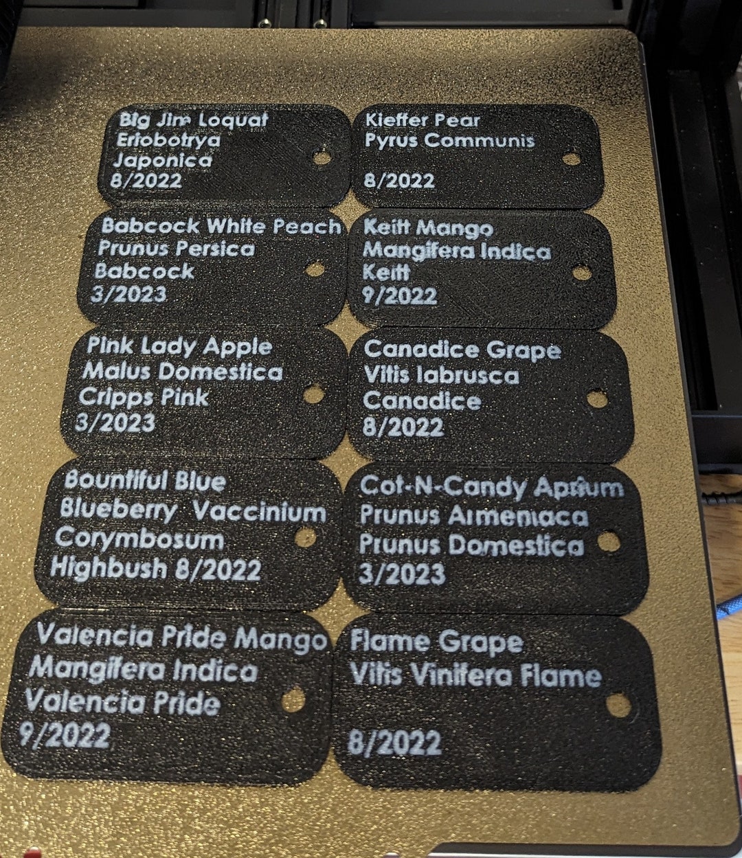 Custom 3D Printed Tree Tags - Etsy