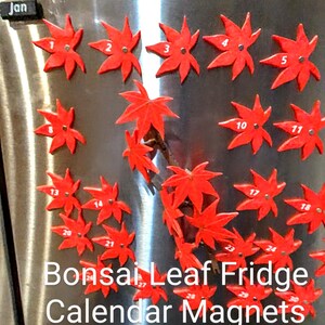 May include: A set of red leaf-shaped refrigerator magnets with numbers 1 through 30. The magnets are arranged in a heart shape on a stainless steel refrigerator. The text "Bonsai Leaf Fridge Calendar Magnets" is printed below the magnets.