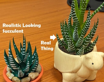 Haworthia Succulent (Zebra Cactus): 3D Printed