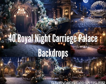Royal Palace Carriage Night Digital Backdrop: Fine Art Photography (PNG, JPG)