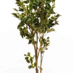 5&#39; Classic Ficus Baum, Künstlicher Baum, Seidenbaum, Künstliche Seidenpflanze, Kunstbaum Grün