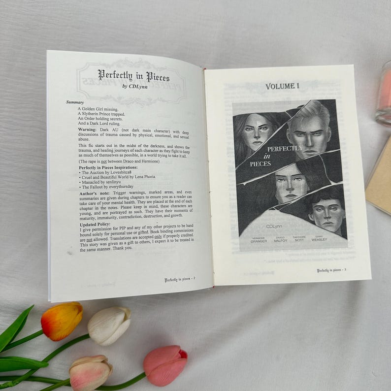 May include: Open book with the title "Perfectly in Pieces" by CDLynn. The left page contains a summary and author's notes. The right page displays the book cover art, featuring four grayscale portraits and the text "VOLUME I".