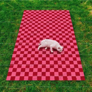 Hand Tufted Checkerboards Red Pink Area Rug for Living Bedroom Dining Guest Room Kids, Red Pink Checkerboards High Quality Carpet for Gifts