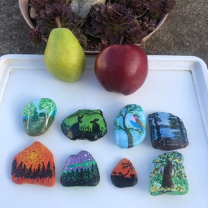 Hand Painted Decorative Pebbles/Rocks