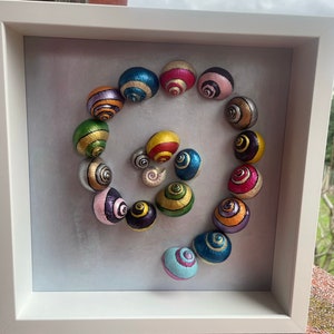 May include: A framed artwork featuring a spiral of colourful painted snail shells. The shells are arranged in a clockwise spiral, with the smallest shell at the centre and the largest shell at the outer edge. The shells are painted in various colours, including red, yellow, blue, green, and purple.