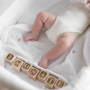 MONATSWÜRFEL SET - MEILENSTEINE Baby (Meilensteinkarten für süße Babybilder) Meilenstein Würfel | Meilensteinkarten Baby | Geschenk Geburt |