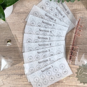 100 envelope Savings Challenge with binder A6 Savings Challenge Tracker Envelopes for A6 Binder budgeting Cash Envelope for A6 Binder