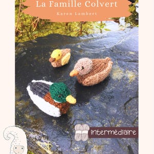 May include: Image of three knitted ducklings. One is yellow and brown, another is brown and tan, and the third is white, brown, green, and black. The text "La Famille Colvert" and "Karen Lambert" are at the top. The text "Tricote-moi... une histoire" is at the bottom.