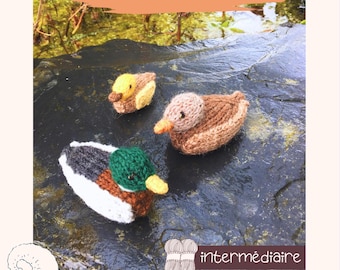 May include: Three knitted ducklings in various colours: yellow, brown, tan, white, green, and black. The image includes the text "La Famille Colvert" and "Karen Lambert". The text "Tricote-moi... une histoire" is also present. The ducks are on a dark, textured surface.