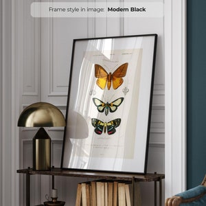 Vintage Schmetterlinge Druck | Schmetterling Wandkunst | Stimmungsvolle Kunst | Cottagecore Wanddekor | Poster Motte | Wissenschaftliche Illustration