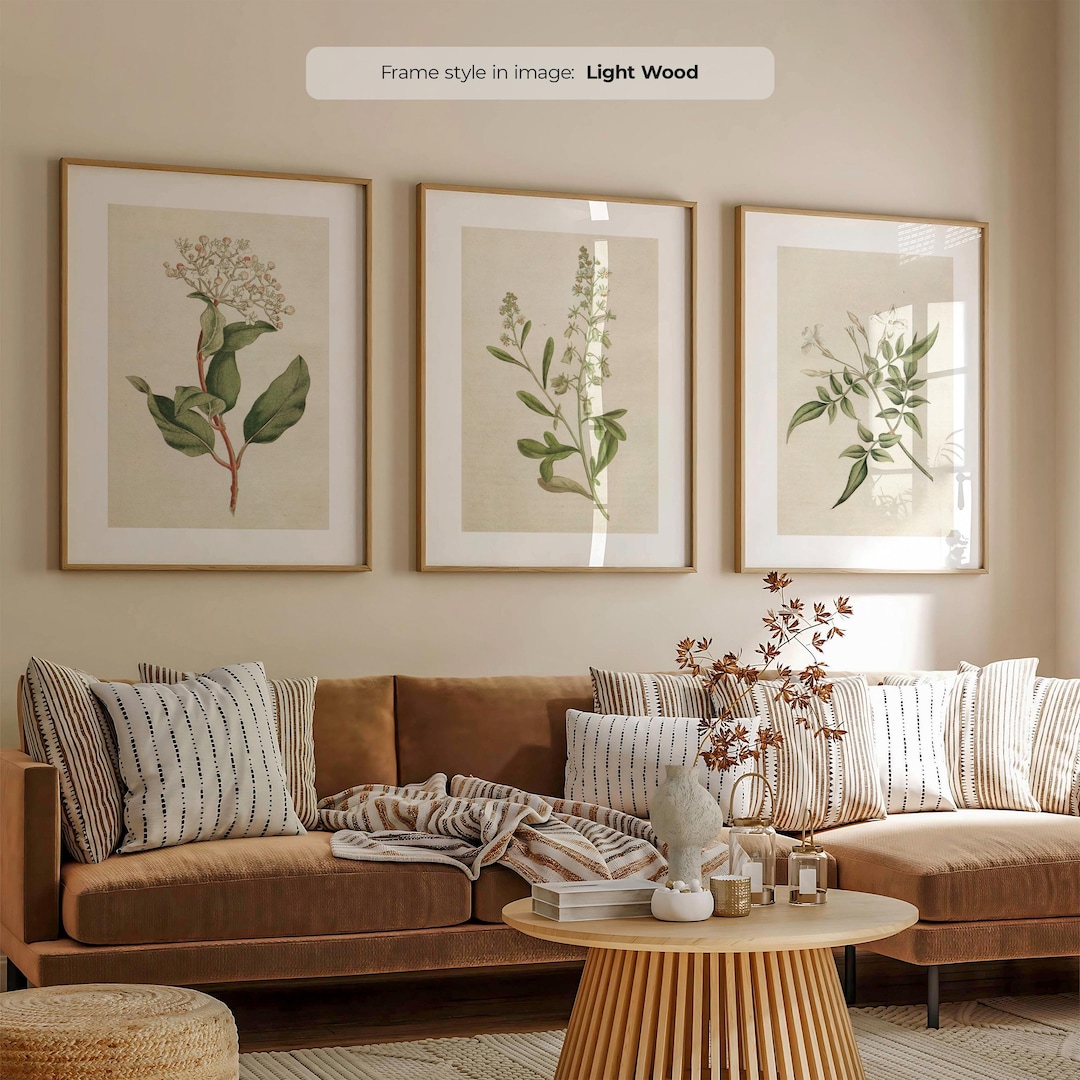 Framed Botanical Print Set of 3 – Antique Flower Illustrations - Etsy