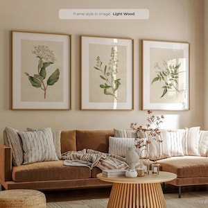 Può includere: Tre stampe botaniche incorniciate con cornici in legno chiaro sono appese sopra un divano marrone con cuscini a righe. Le stampe presentano illustrazioni dettagliate di piante con foglie verdi e fiori bianchi su sfondo beige. Un tavolino rotondo in legno è di fronte al divano.