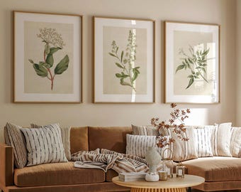 額入りボタニカルプリント3枚セット - アンティークフラワーイラスト