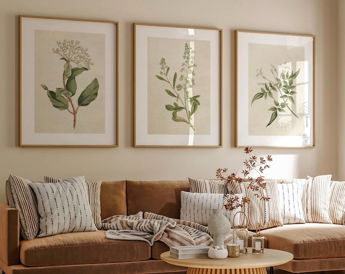 Framed Botanical Print Set of 3 – Antique Flower Illustrations