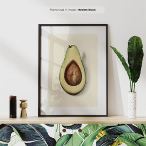 Sliced Avocado - Vintage Fruit Print | Framed Botanical Wall Art | Antique Fruit Scientific Illustration | Encyclopedia Avocado Poster