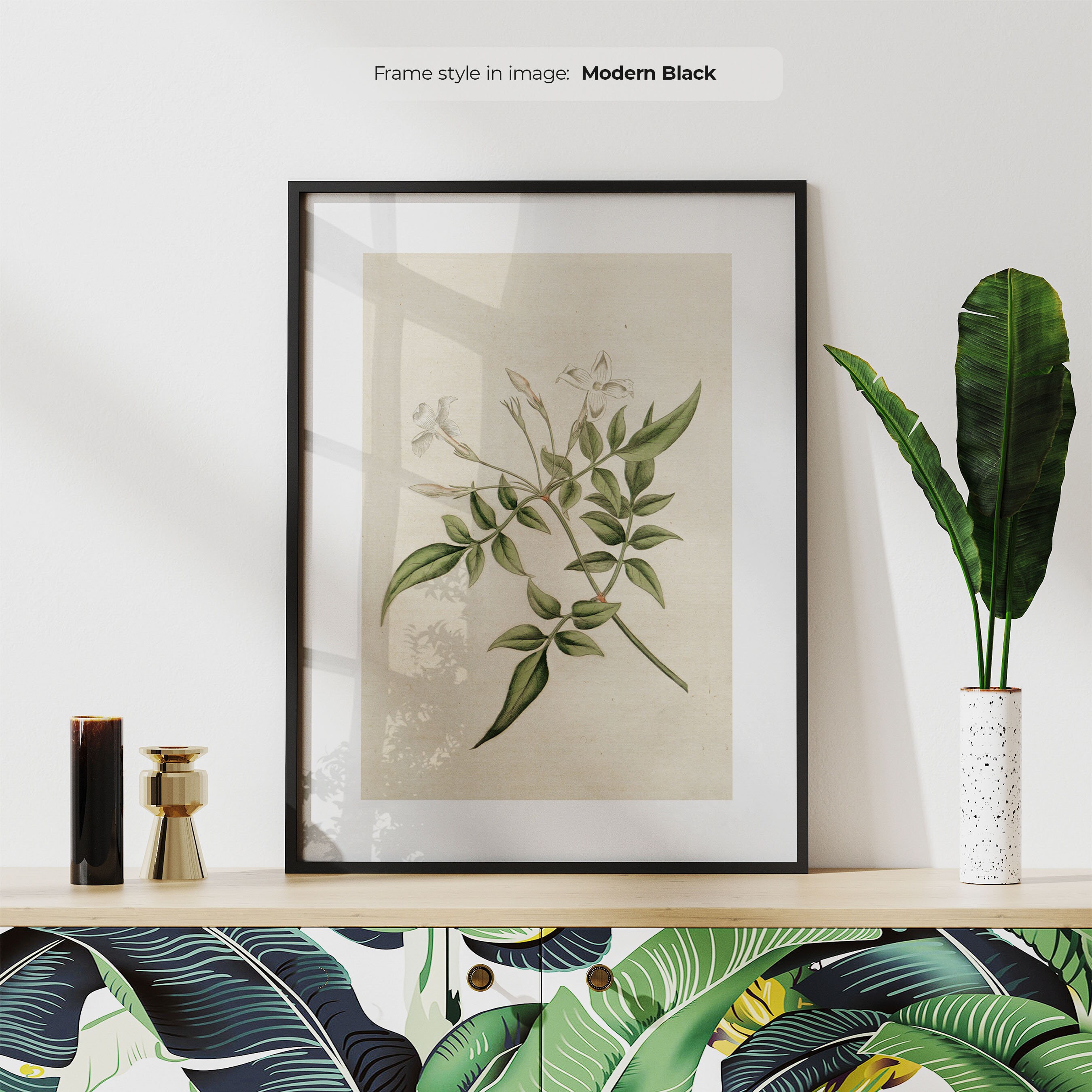 Framed Jasmine Flower Art Print – Vintage Botanical Illustration - Etsy
