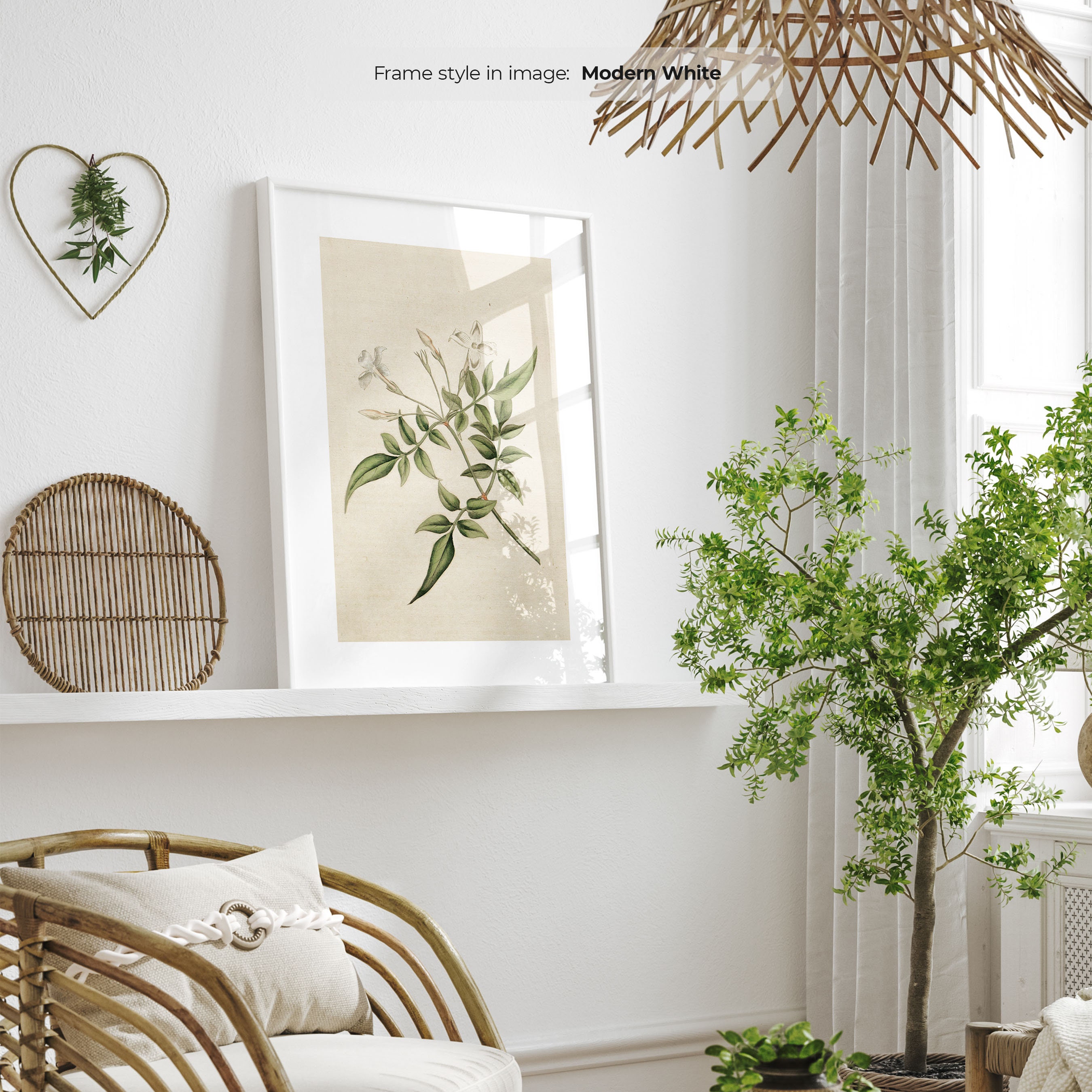 Framed Jasmine Flower Art Print – Vintage Botanical Illustration - Etsy