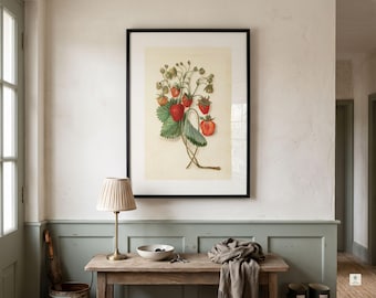 Strawberry Branch Botanical Art Print