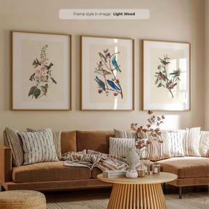 Op de afbeelding: Drie ingelijste botanische kunstprints met illustraties van vogels en bloemen. De prints zitten in licht houten frames en hangen boven een bruine bank met gestreepte kussens. Het kunstwerk voegt een natuurlijk element toe aan de inrichting van de kamer.