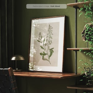 Reseda Odorata - Vintage Floral Poster | Framed Botanical Wall Art | Antique Botanical Illustration | Flower Art Print | Garden Mignonette