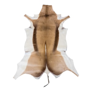 Puede incluir: Una piel de springbok natural con una franja central de color tostado flanqueada por bandas de color marrón oscuro y lados blancos. La piel tiene una forma orgánica irregular con bordes puntiagudos y una cola pequeña y fina.