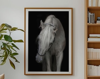 Elegant White Horse Art Print – Graceful Equine Photography, Extra Large Print