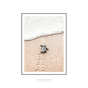 Fotografie Baby Meeresschildkröte Druck. Weiche Beige Küsten- und Tierdrucke Wandkunst